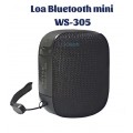  Loa Bluetooth WS-305